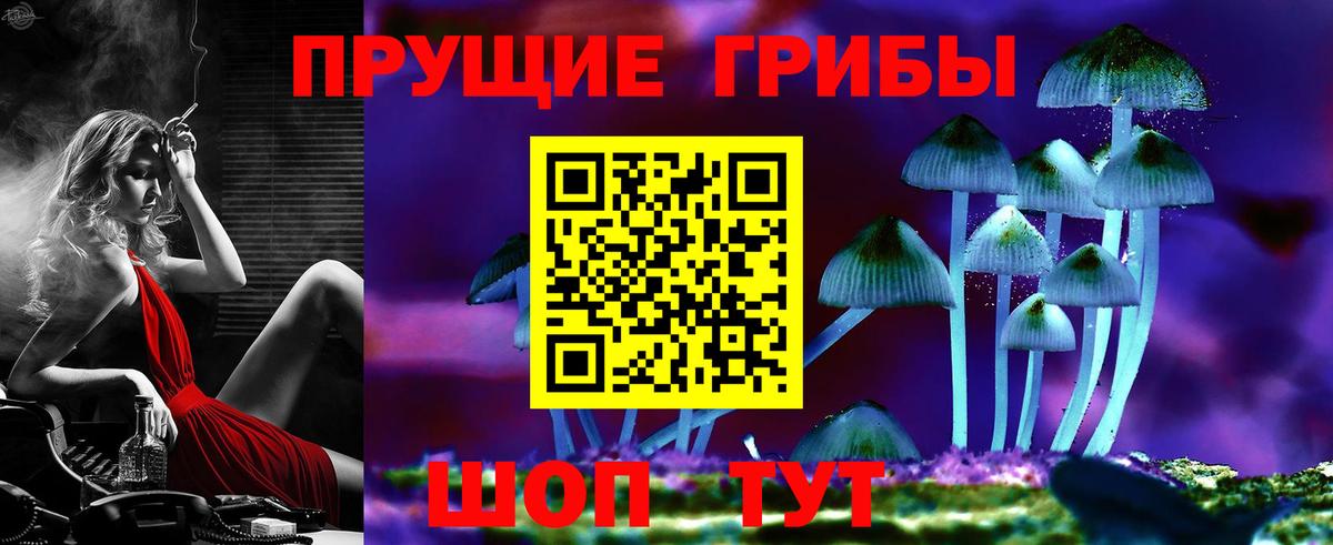 Ногинск  Галлюциногенные грибы мицелий  Вход с VPN 