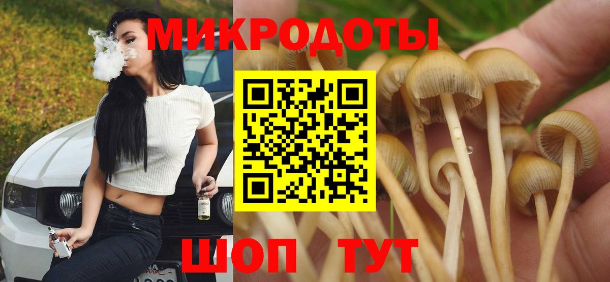 Галлюциногенные грибы Magic Shrooms Ногинск